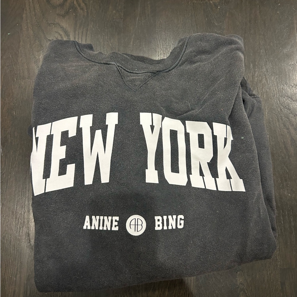 Anine bing sweatshirt large